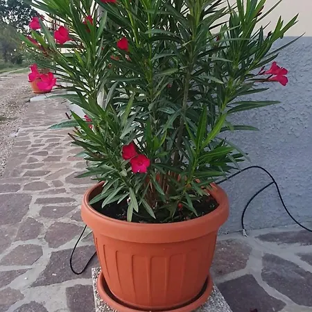 Casa Vittoria